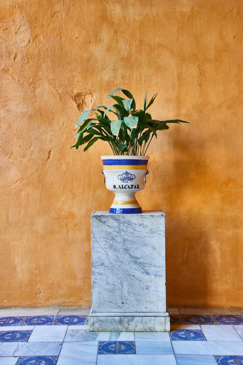 Ceramic plant pot in Royal Alcázar of Seville