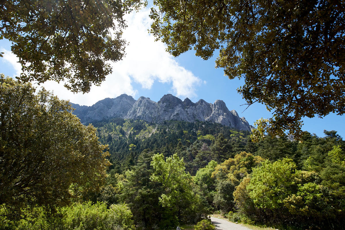 Mountains in the Natural Park of Grazalema