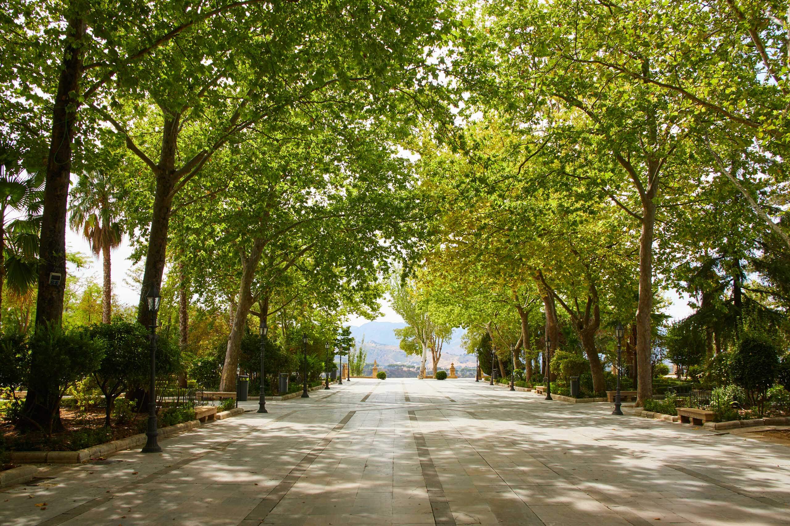 the alameda del tajo park in ronda