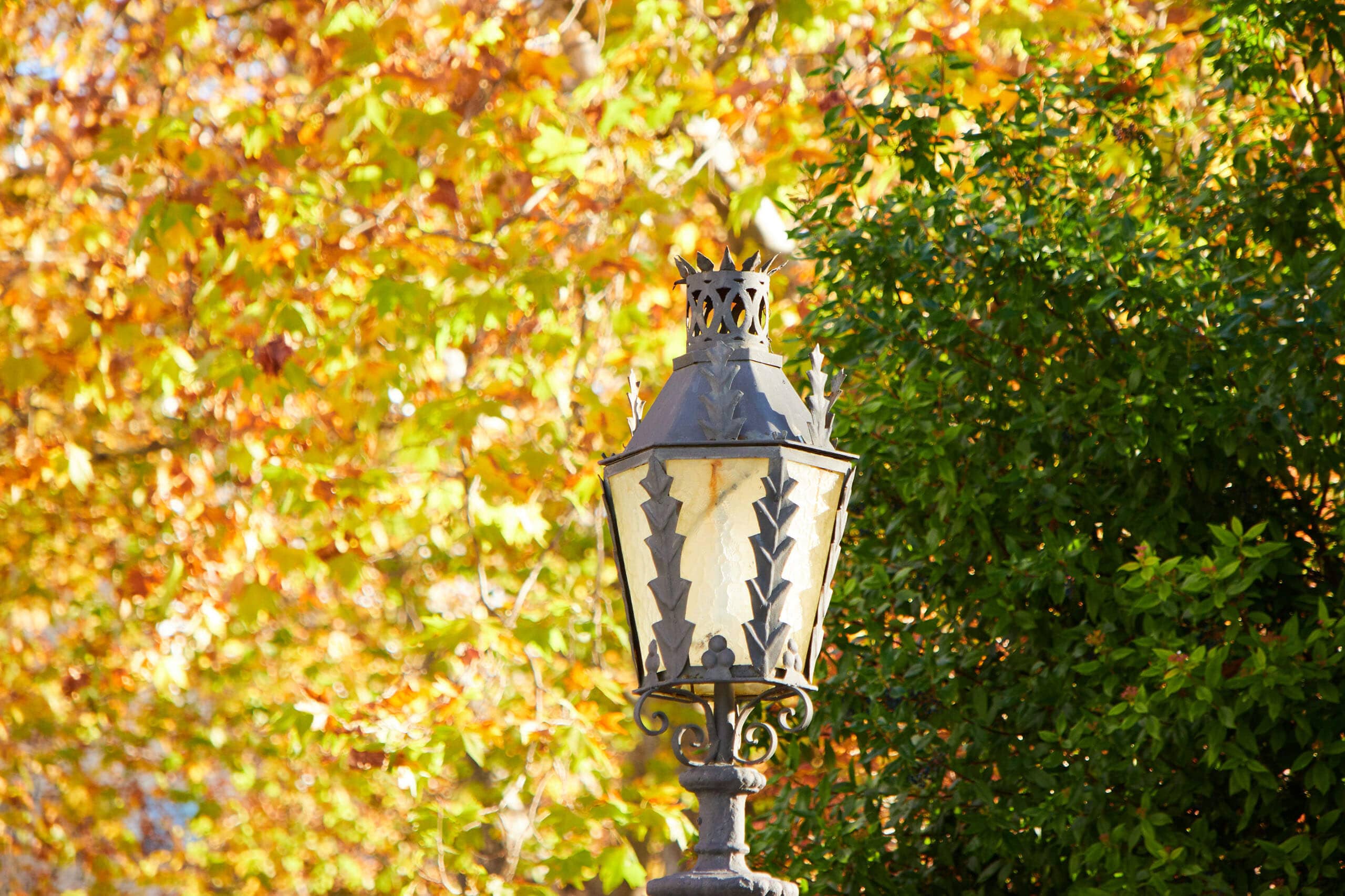 a lamppost in the alameda del tajo park
