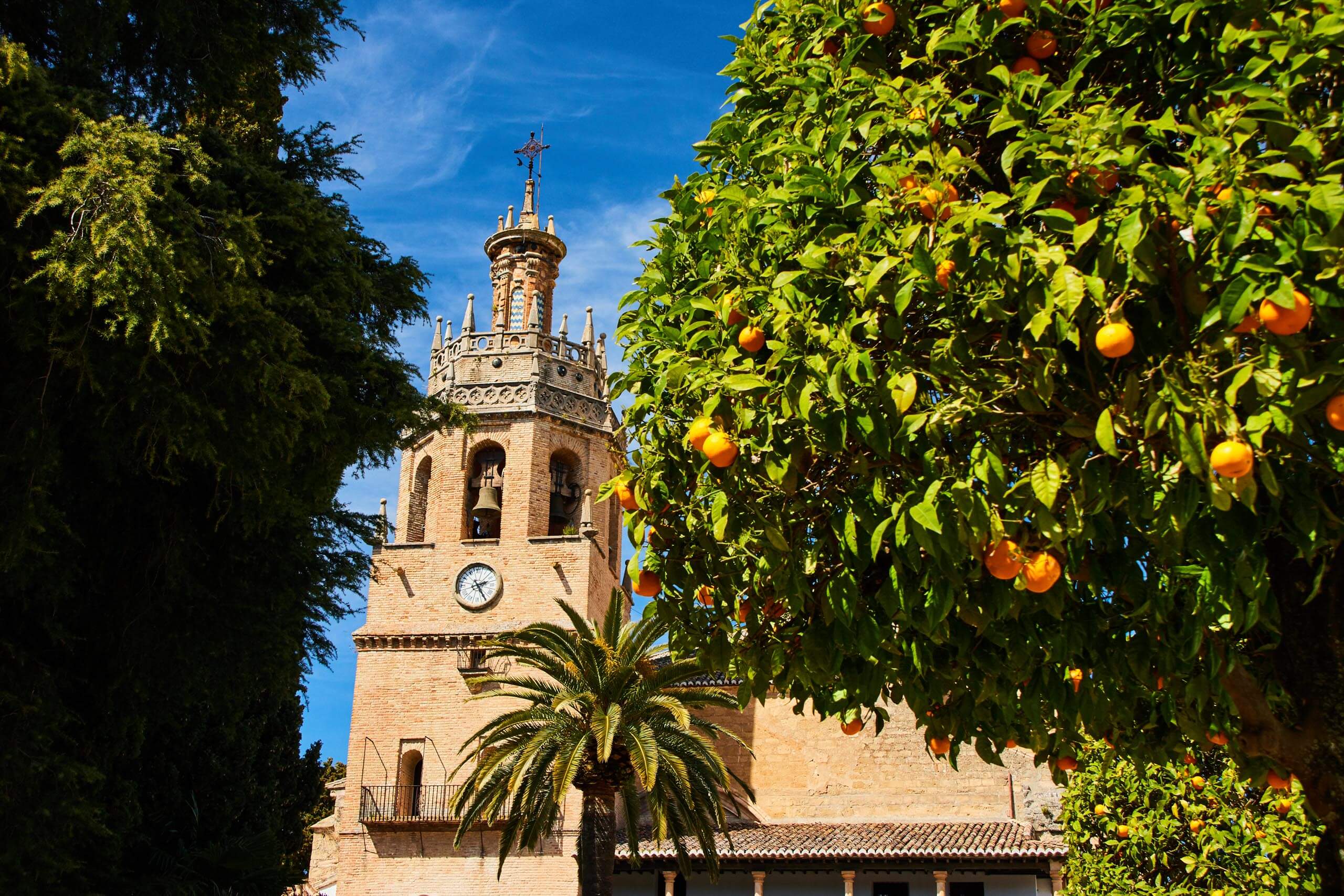 Bell tower of Santa Maria la Mayor