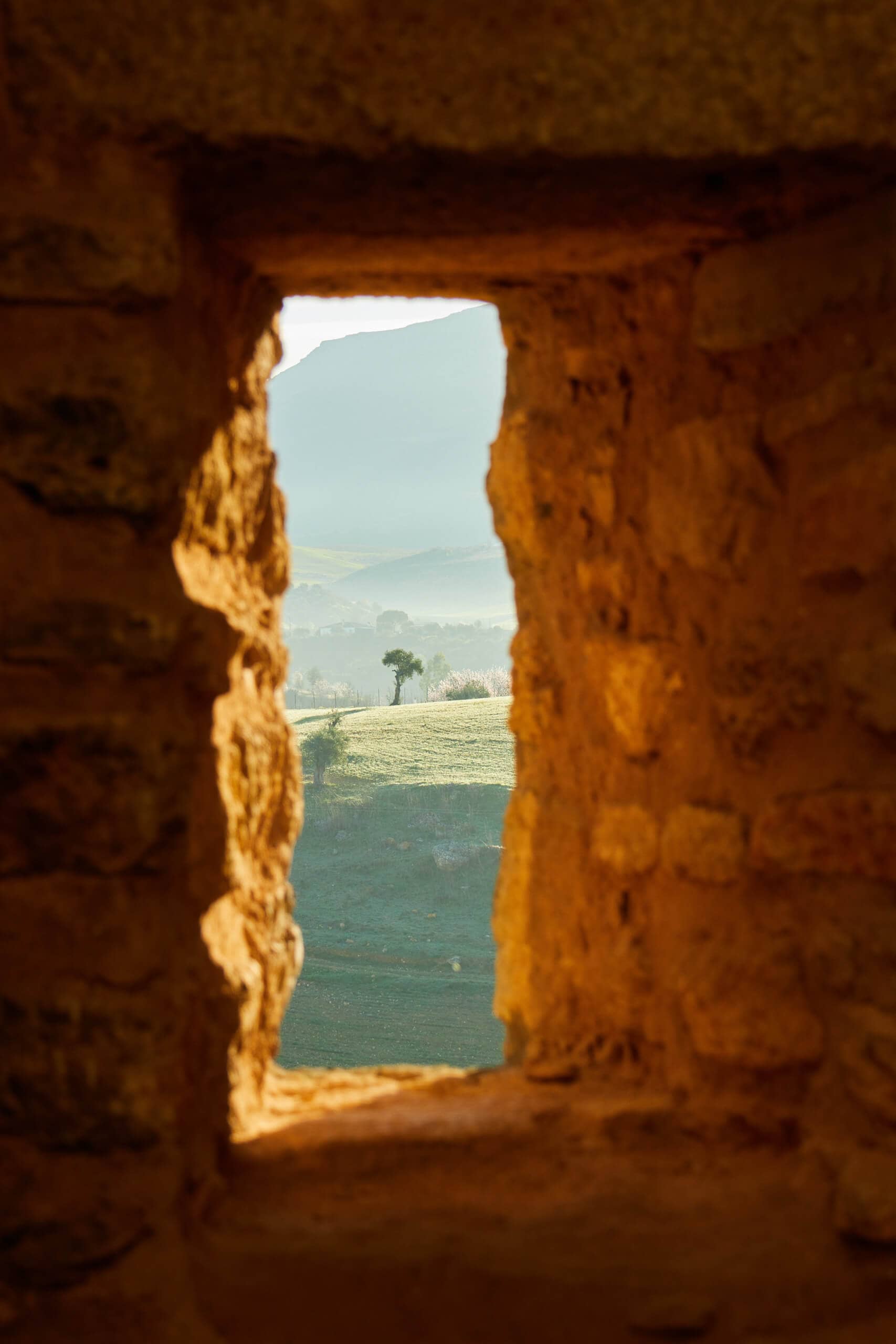 Walls of Ronda and a tree in the surrounding landscape