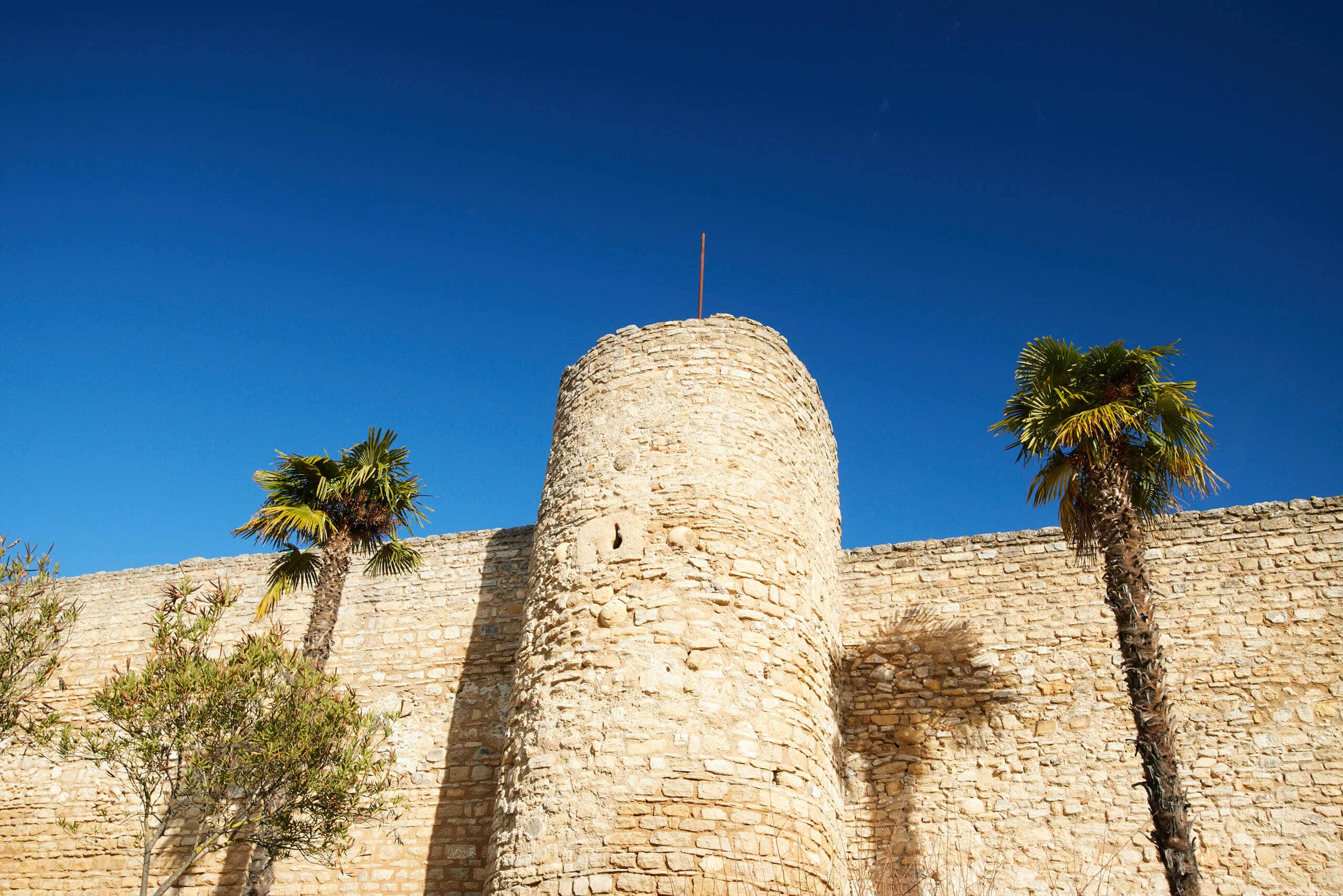 Defensive tower and walls of Puerta de Almocabar