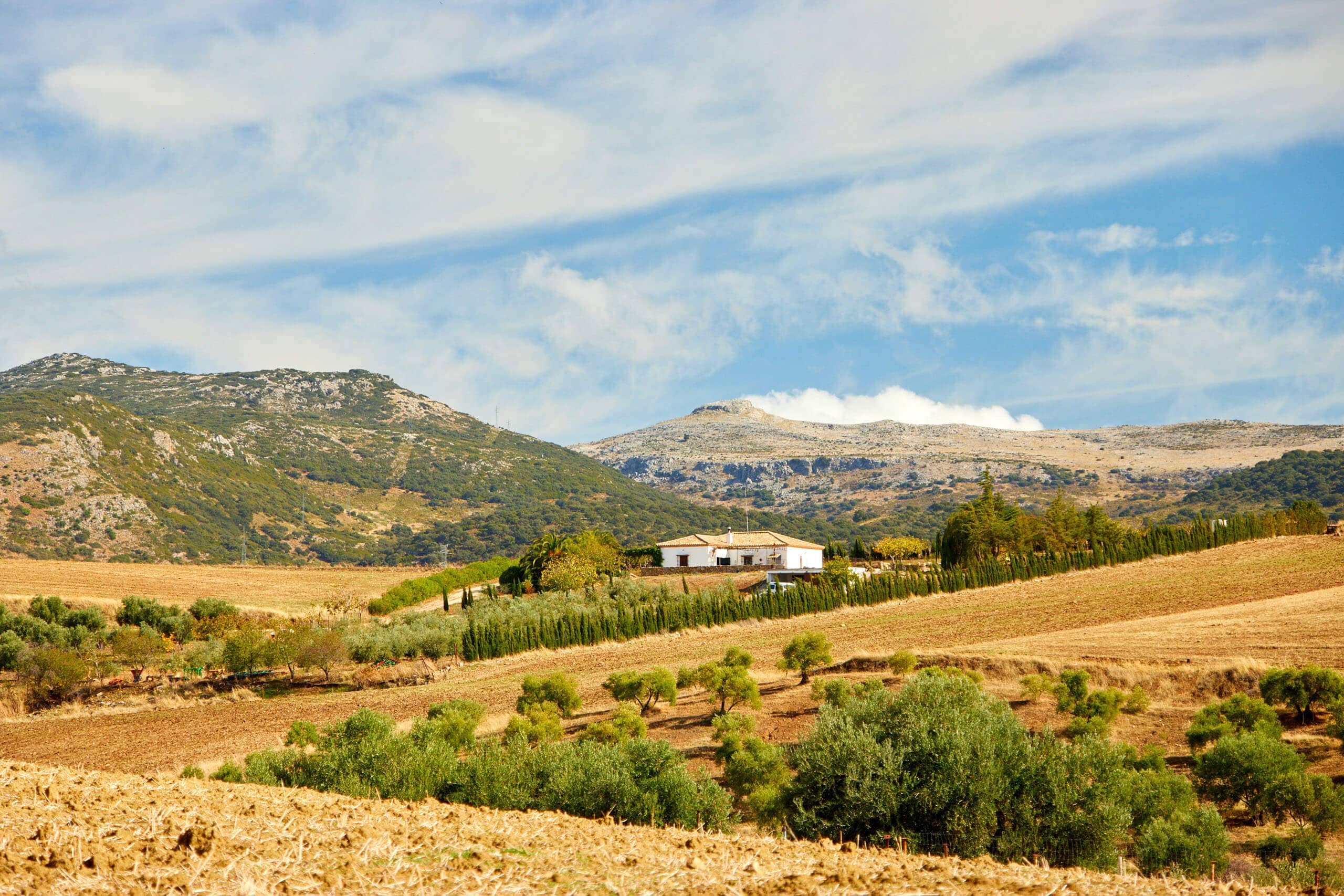 Serranía de Ronda