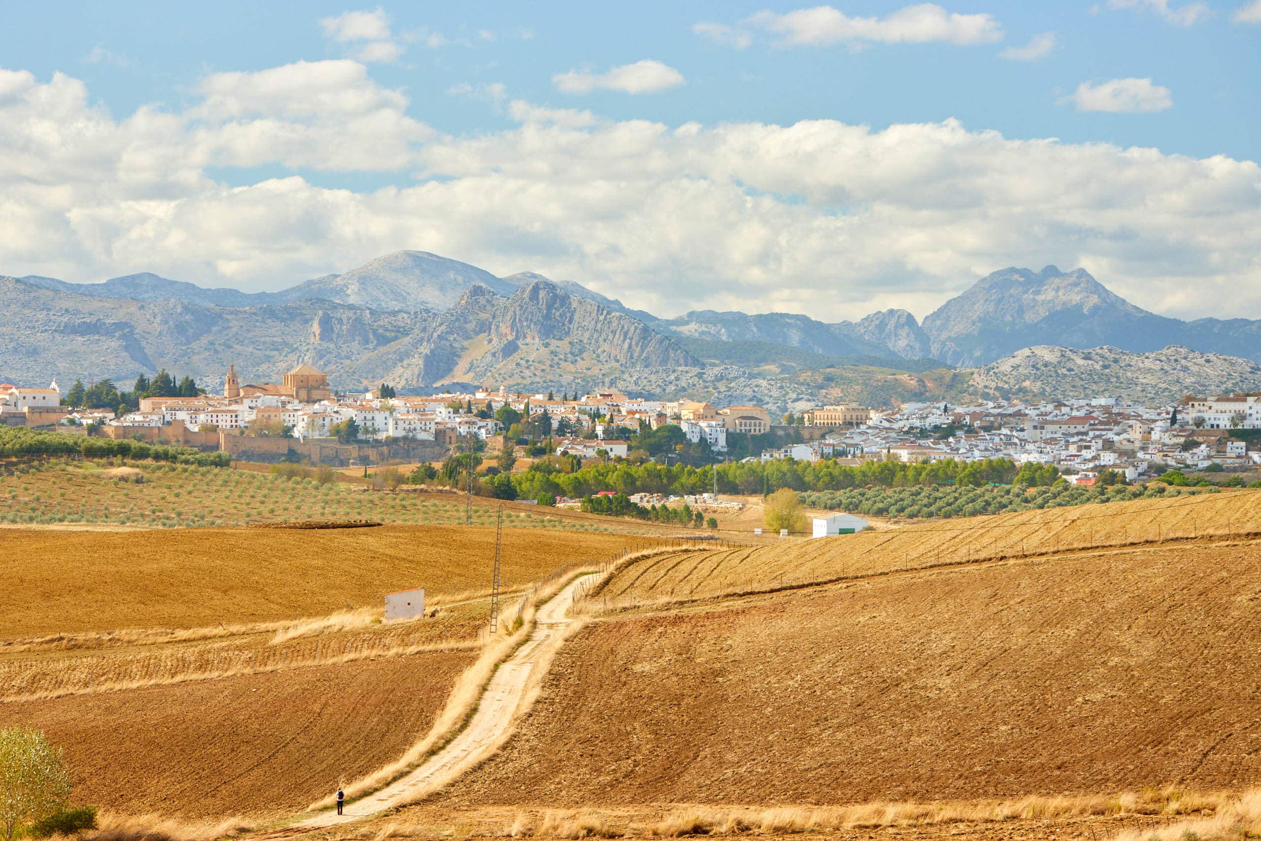 Skyline of Ronda