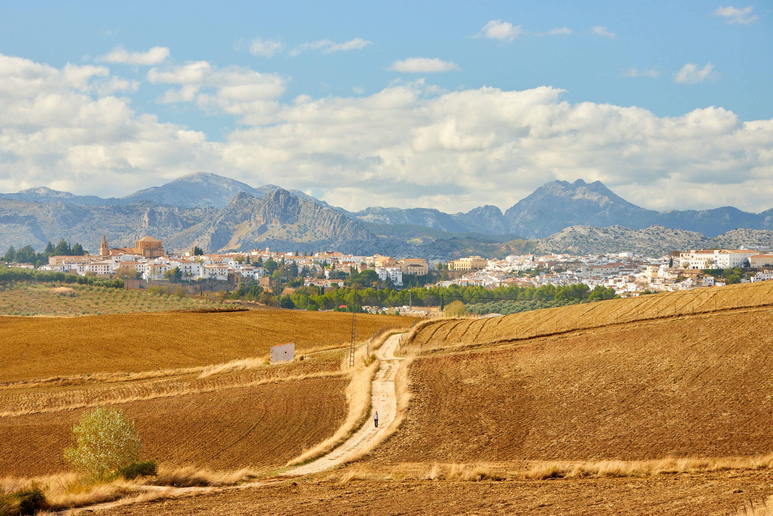 Skyline of Ronda and surrounding mountains