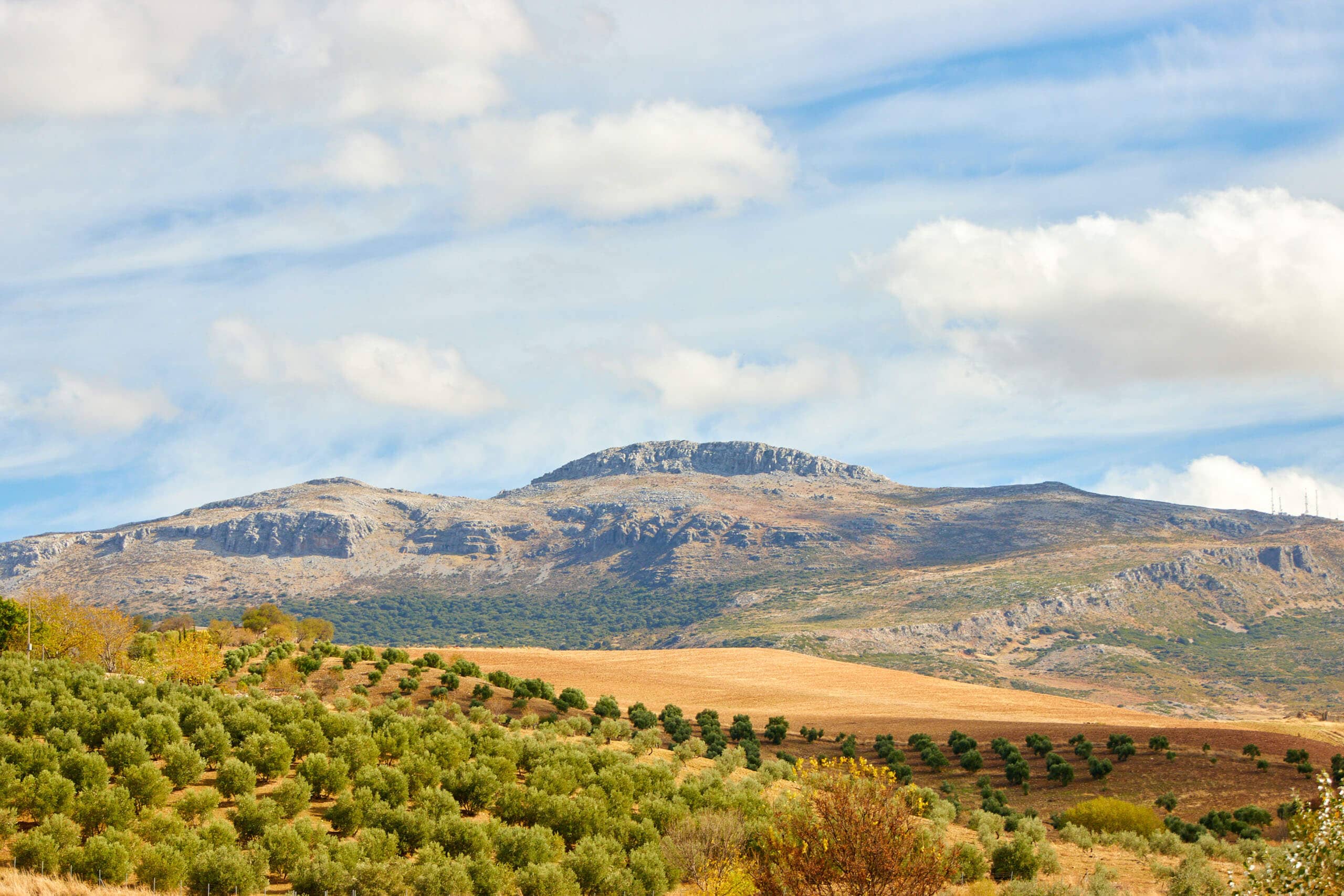 Serranía de Ronda