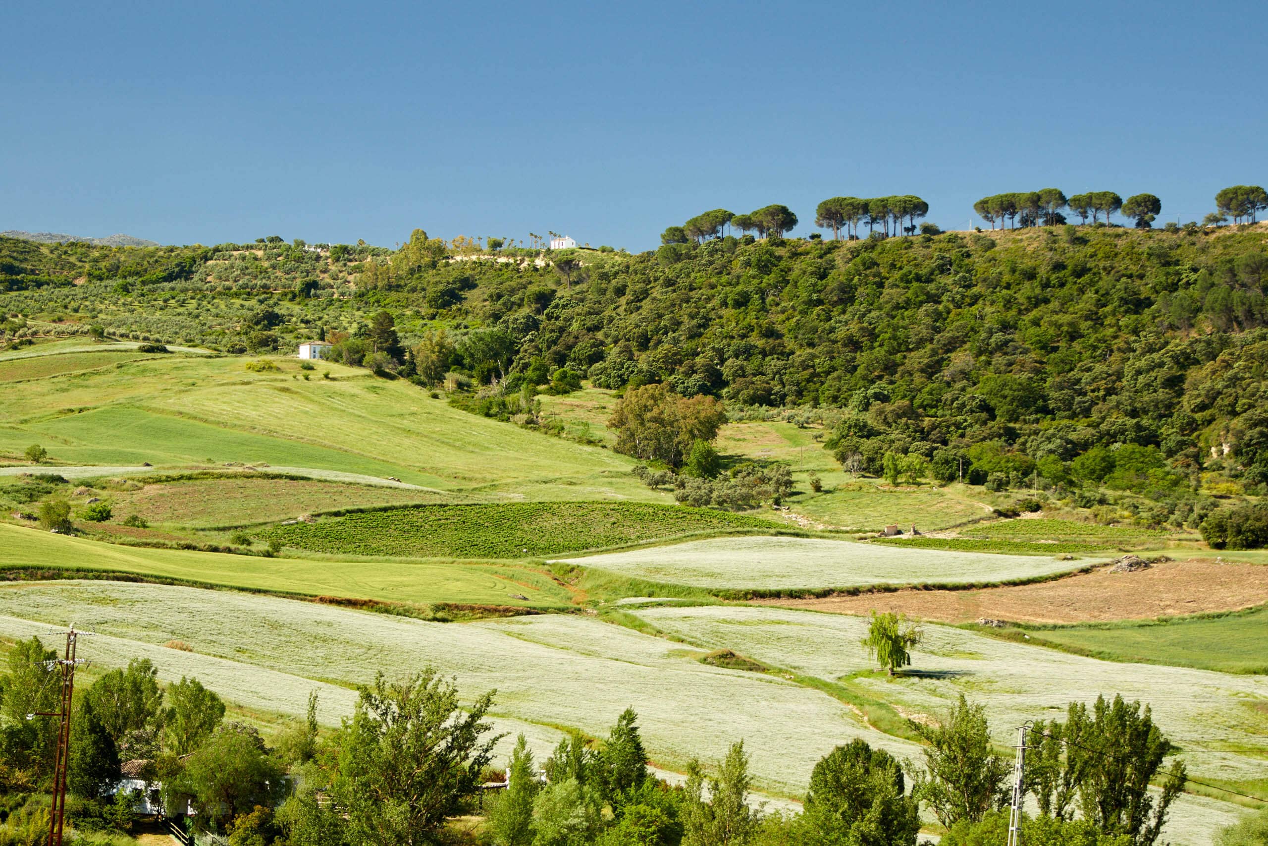 Hills surrounding Ronda