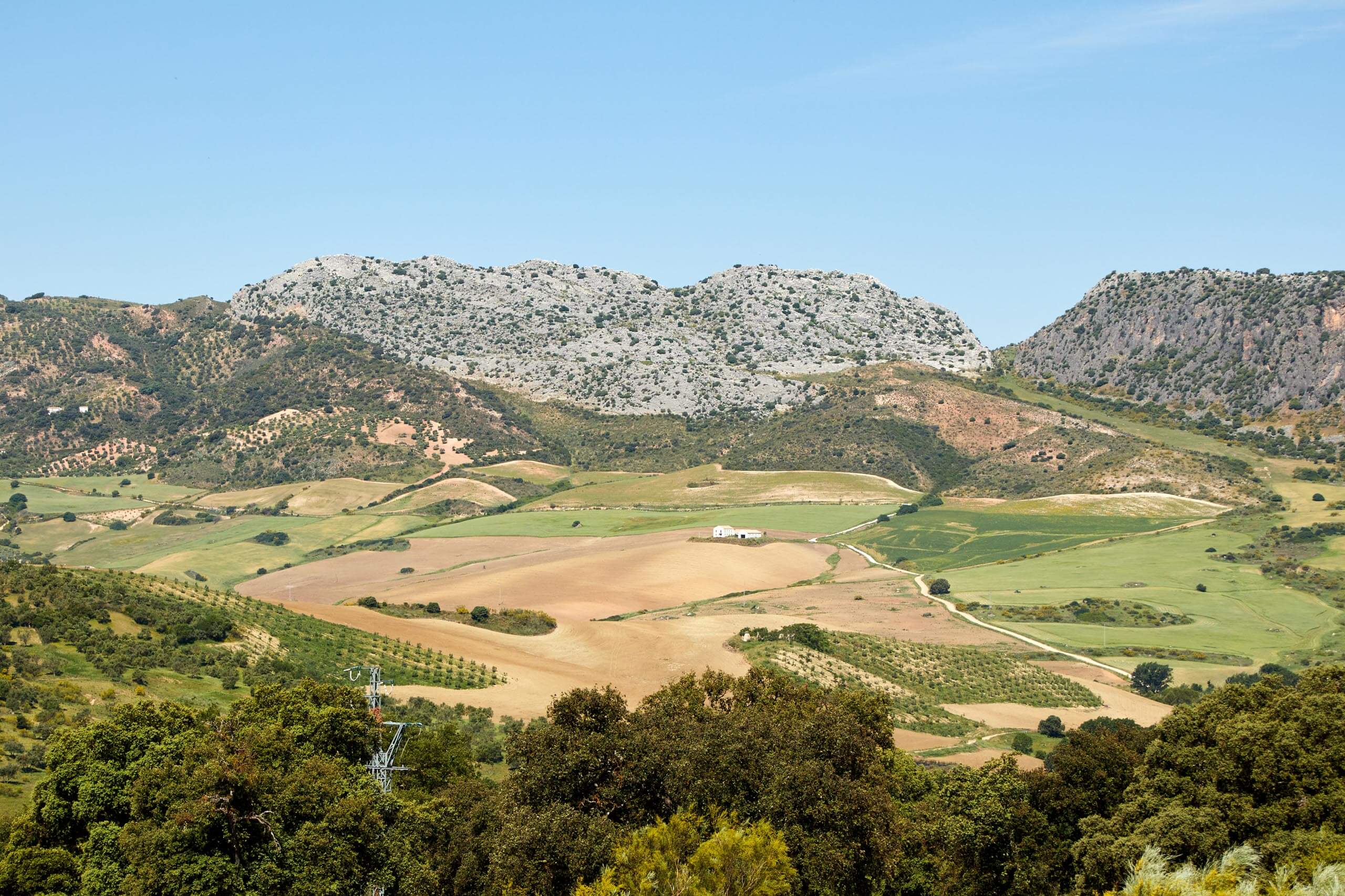 Serranía de Ronda