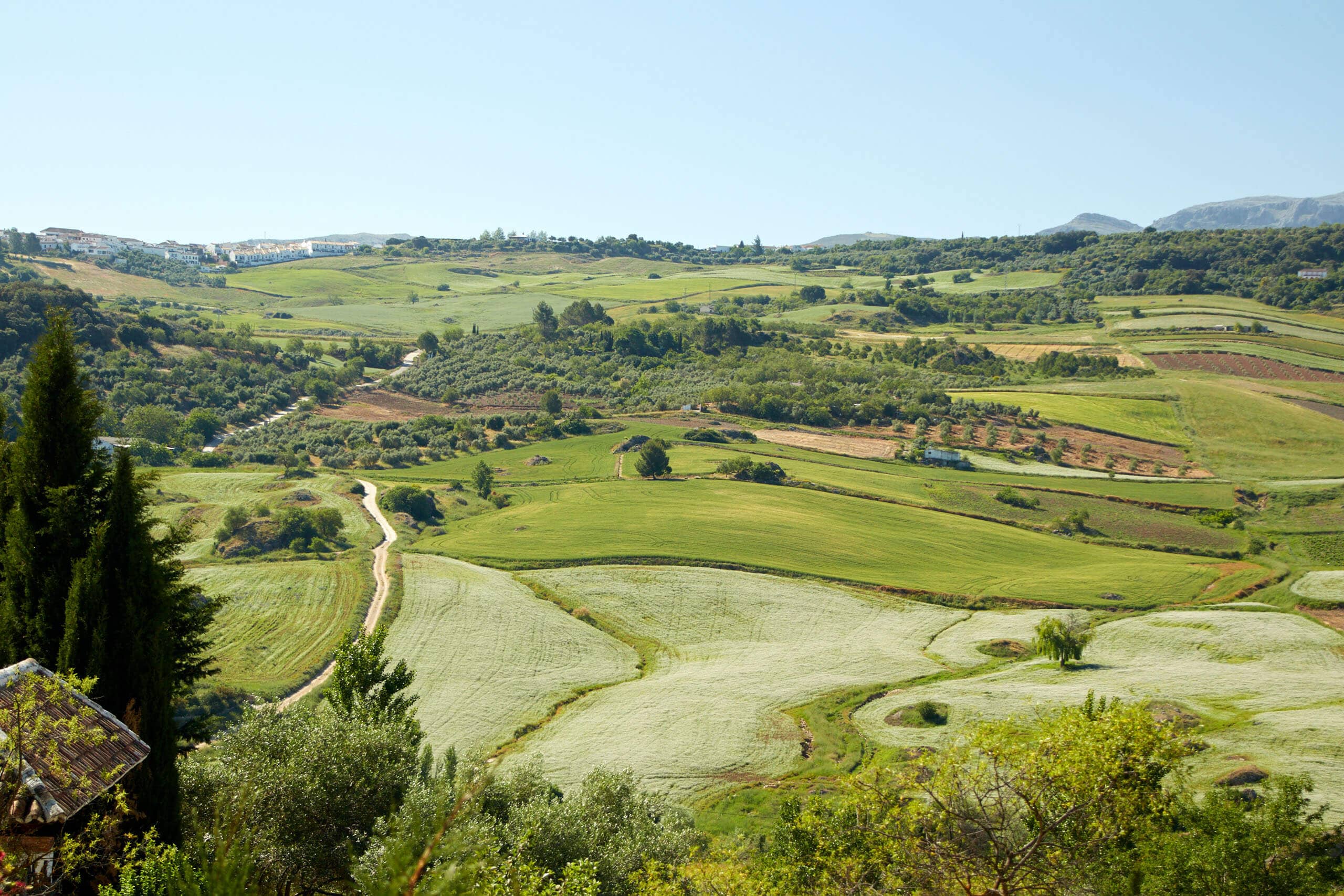 Hills around Ronda