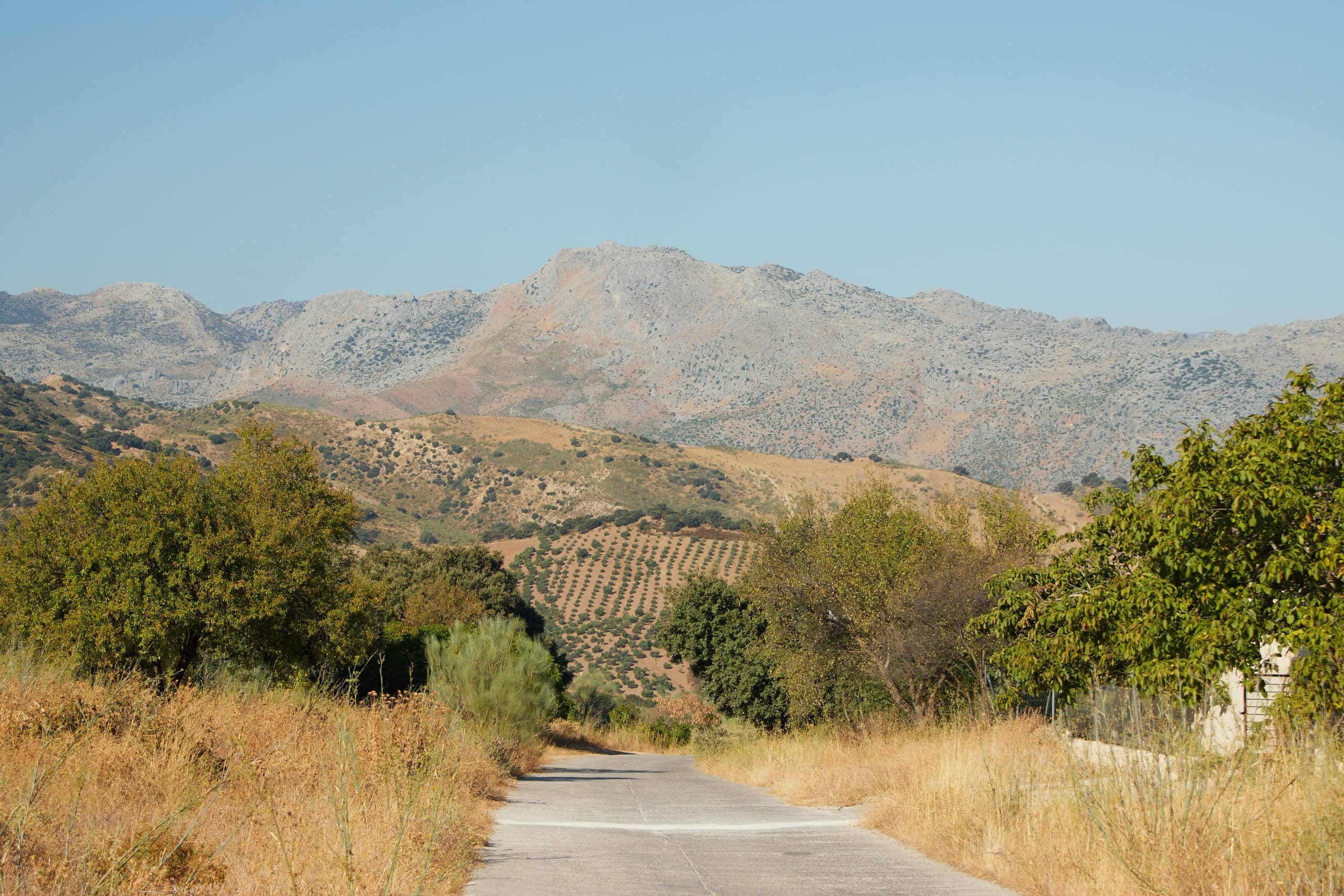 Hills in the Serranía de Ronda