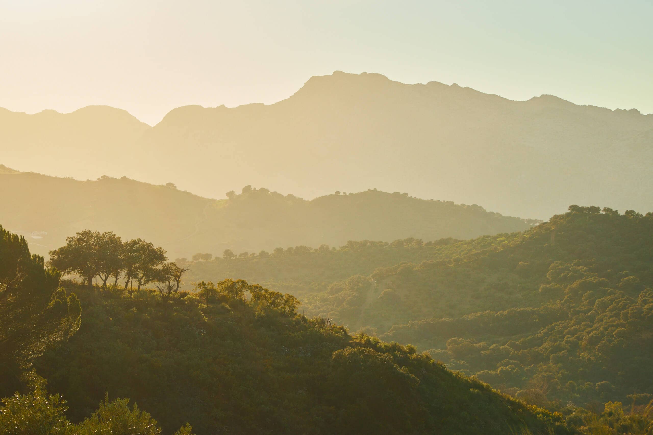 Ronda hills at sunset