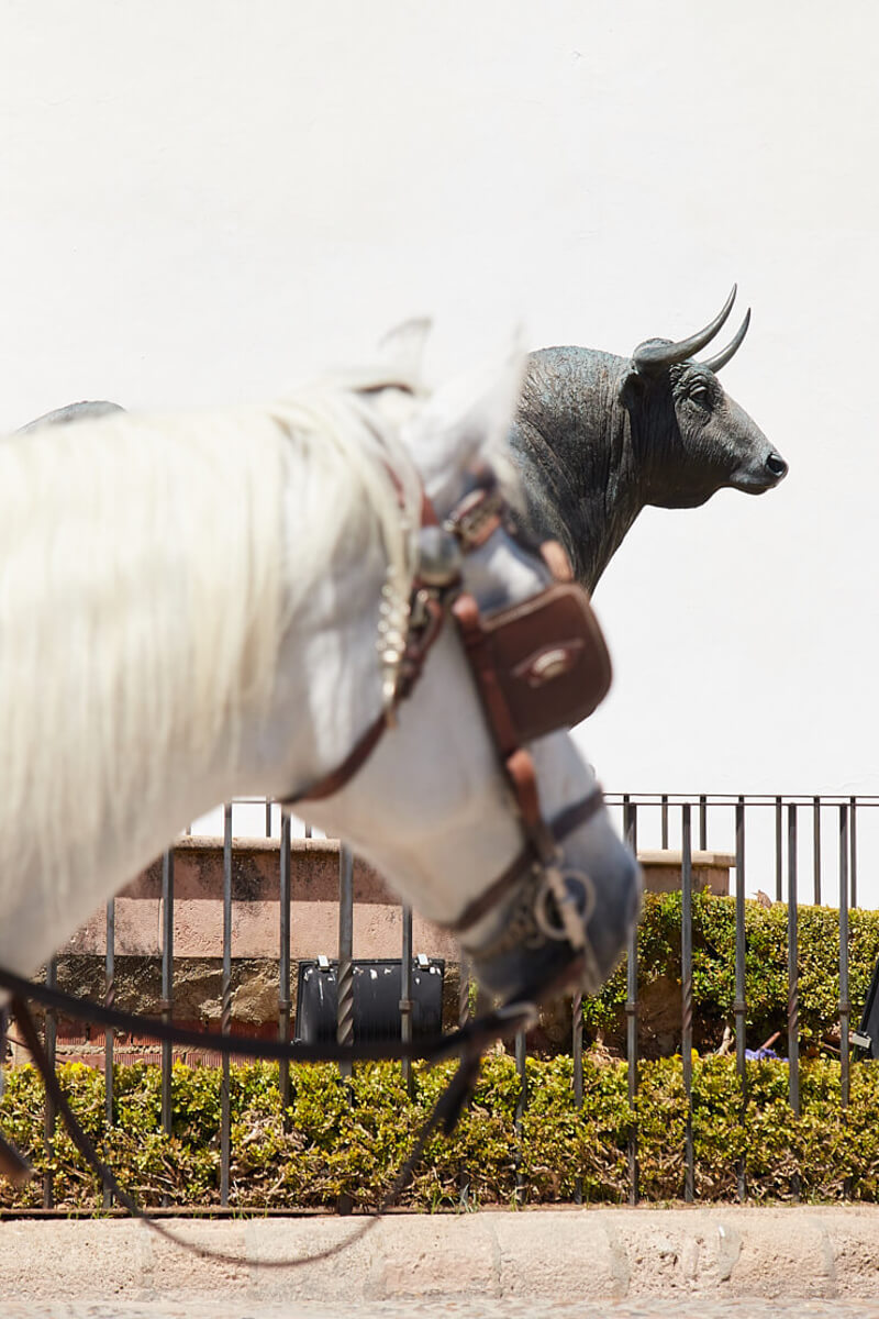 Horse in front of a bull statue at Plaza del Toros