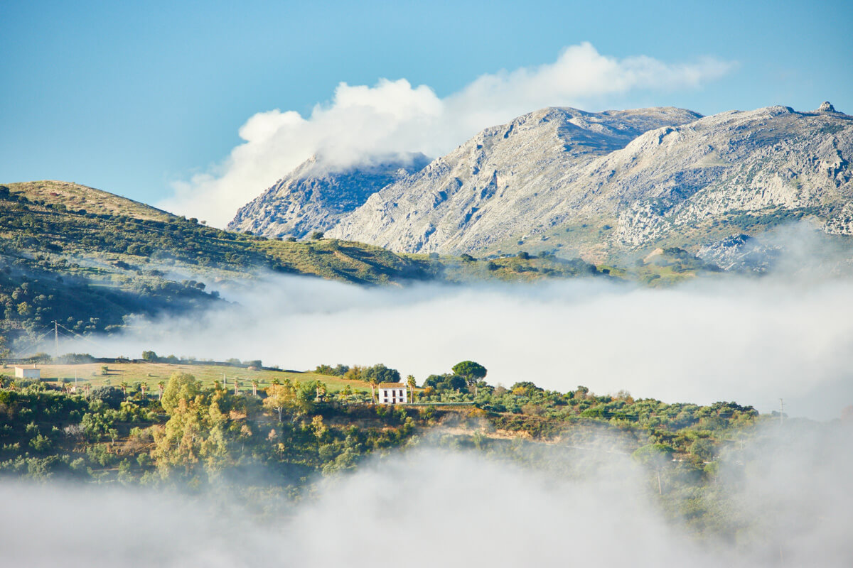 Foggy day in the Serranía de Ronda
