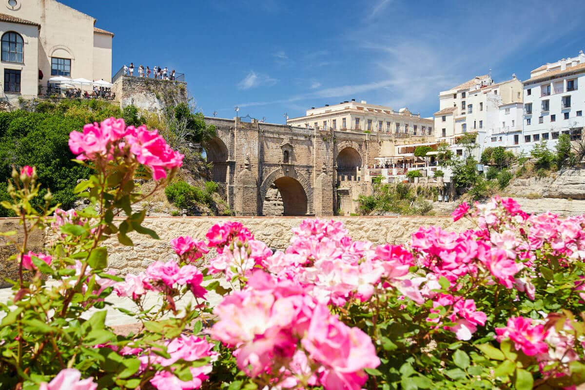 Rose garden in Cuenca gardens and Puente Nuevo